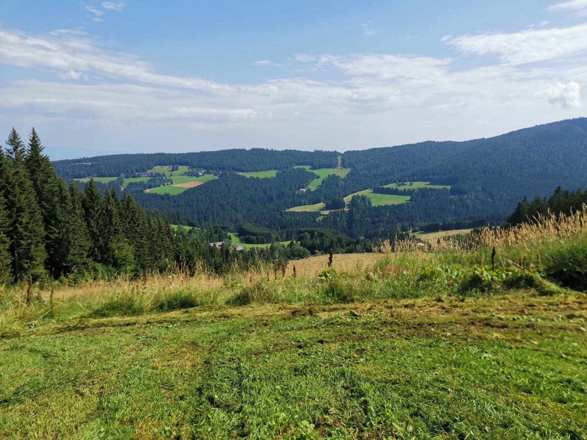 Gaestehaus Hebalm, Family & Friends Auf 900 M2 Wohnflaeche Erleben, Alleinnutzung Moeglich Pack 外观 照片